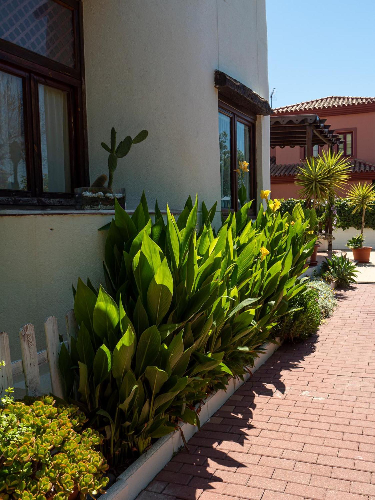 Villa Ibicenca Love Benalmádena Kültér fotó